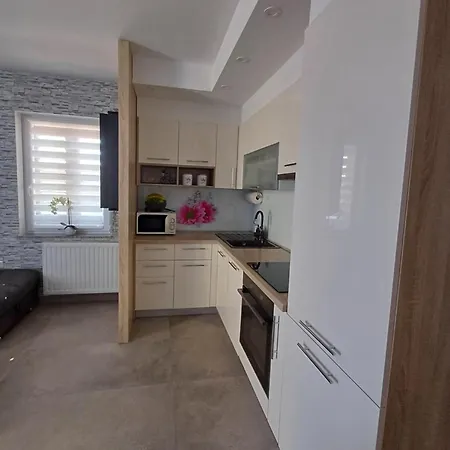 16 Čižići