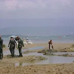 16 شقة