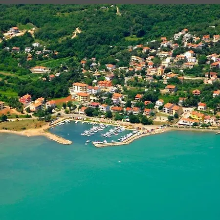 16 * Cizici