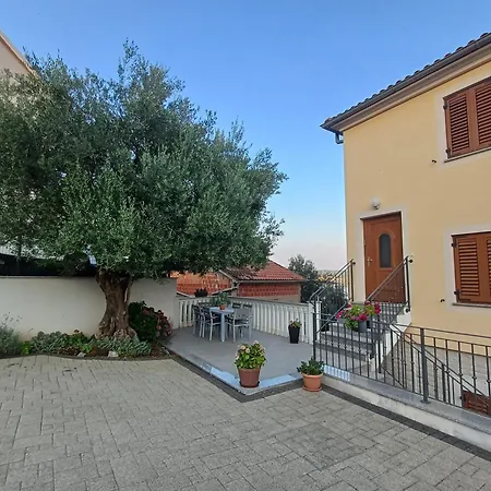 16 Čižići
