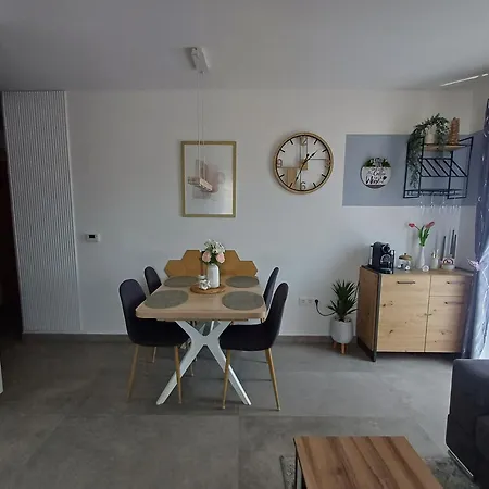 16 Cizici